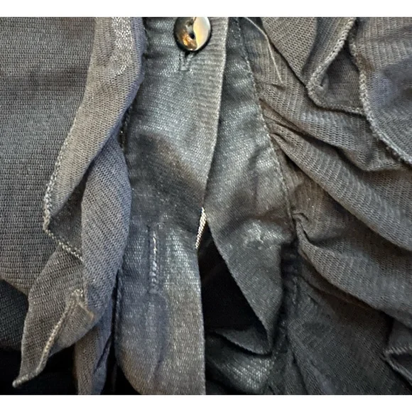 Zebra Sheer Vintage Ruffled Mesh Buttoned Blouse - Picture 12 of 12